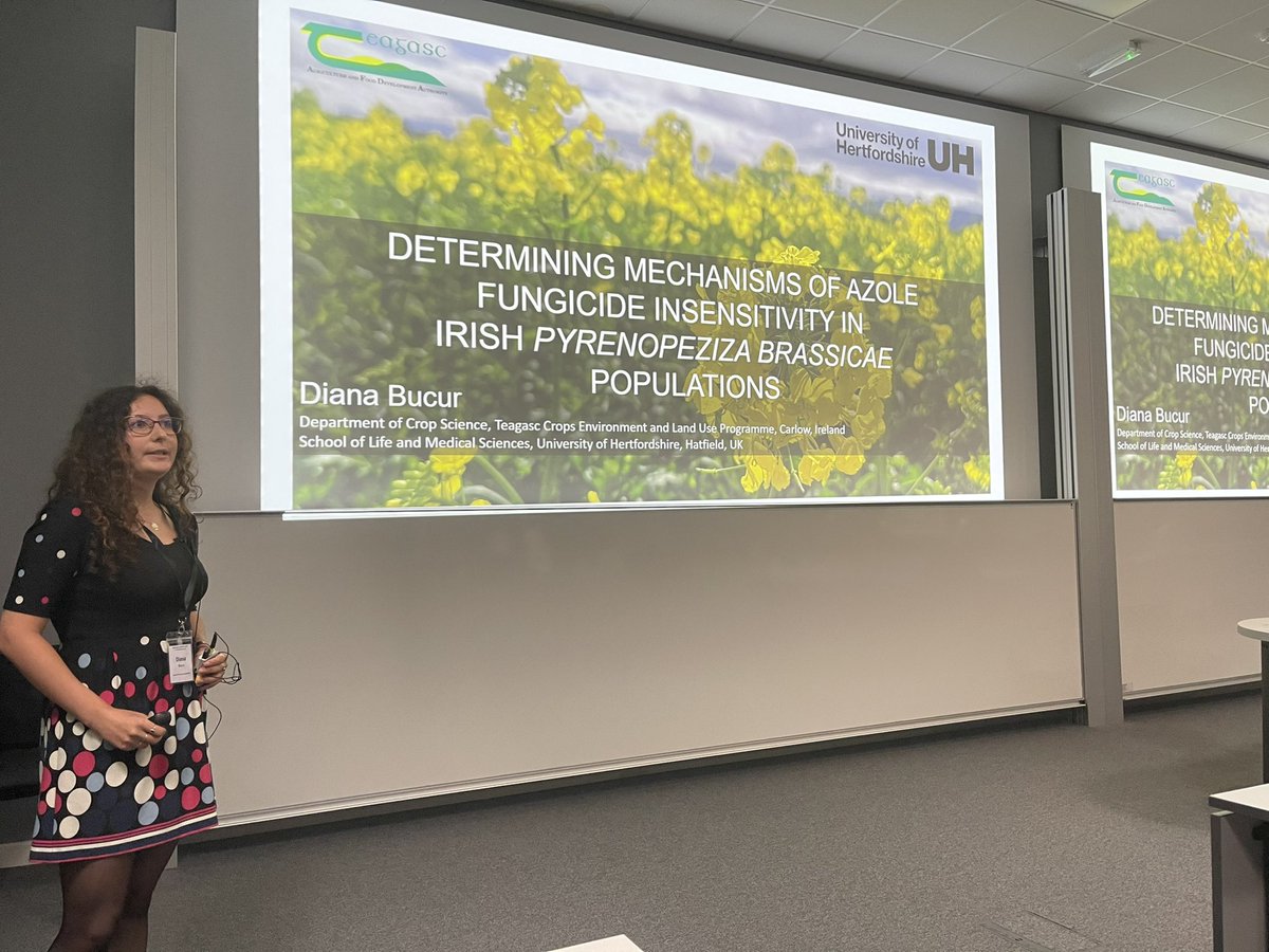 BS_PP's tweet photo. First up in the PH Gregory Competition at #bspp2022 is Diana Bucur from @teagasc and @UniofHerts with her talk on Azole fungicide sensitivity in Irish populations of Pyrenopeziza brassicae https://t.co/qCBf3TysK2