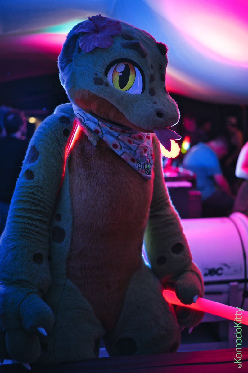 KomodoKitty's tweet photo. @furrykerfluffle 34 Photos out!

Full album: https://t.co/KsUYkpWLmr https://t.co/nVxrEzSHwx