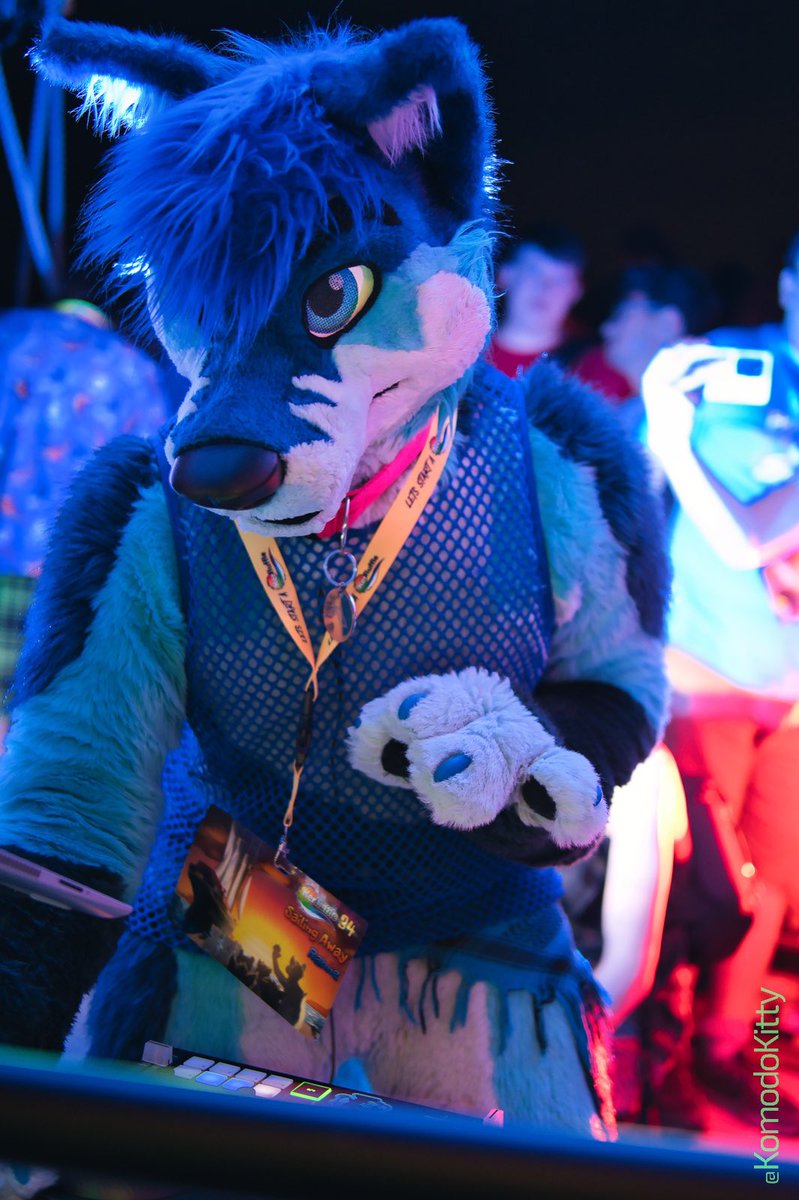 KomodoKitty's tweet photo. @furrykerfluffle 34 Photos out!

Full album: https://t.co/KsUYkpWLmr https://t.co/nVxrEzSHwx