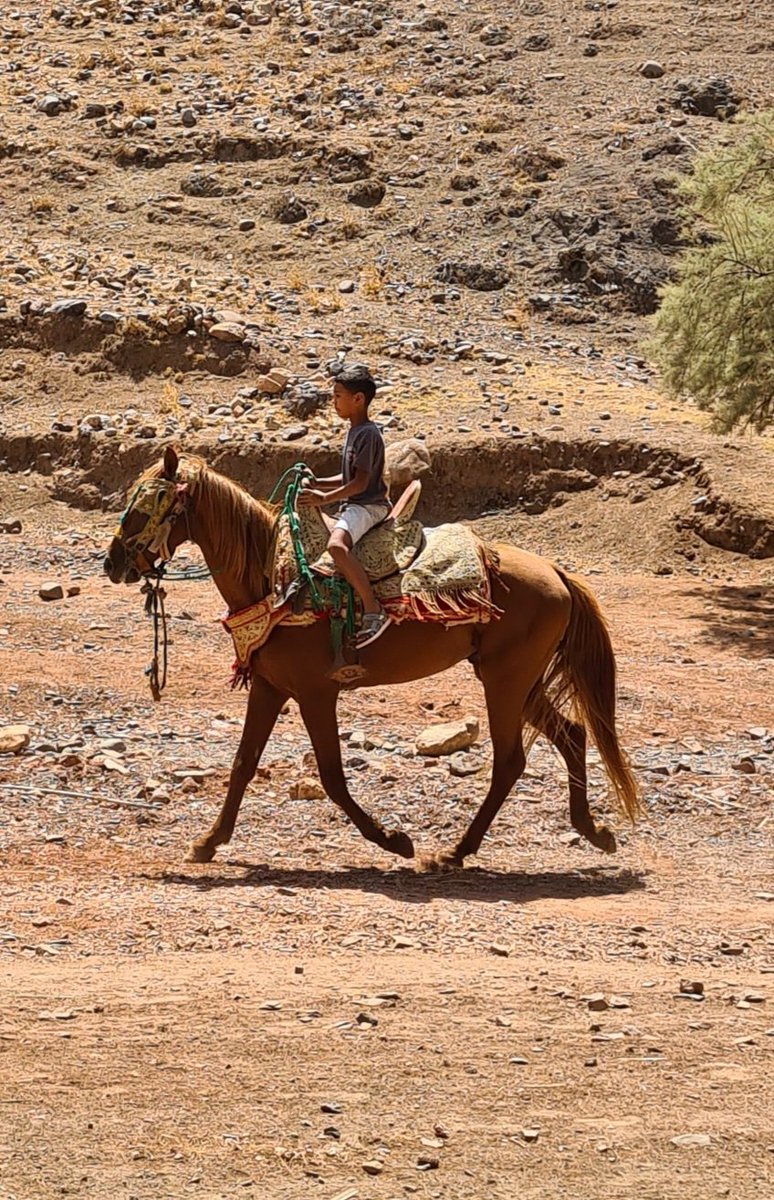Boy on a horse, #tizntest pass, #Morocco #Maroc