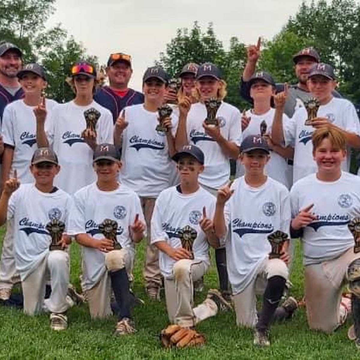 Baseball Ontario tweet media