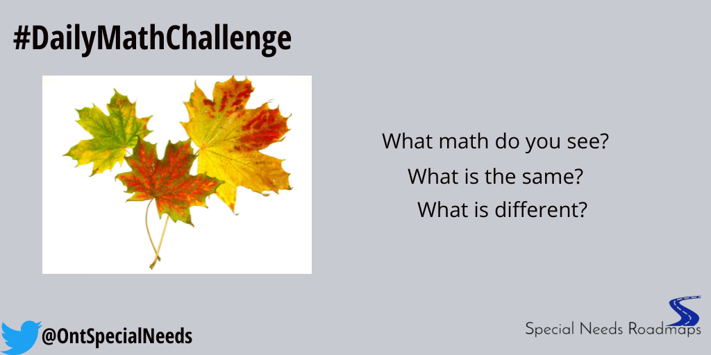 ONTSpecialNeeds's tweet image. Welcome to today&apos;s #DailyMathChallenge.

#mathtalks
#mathrocks
#mathiseverywhere