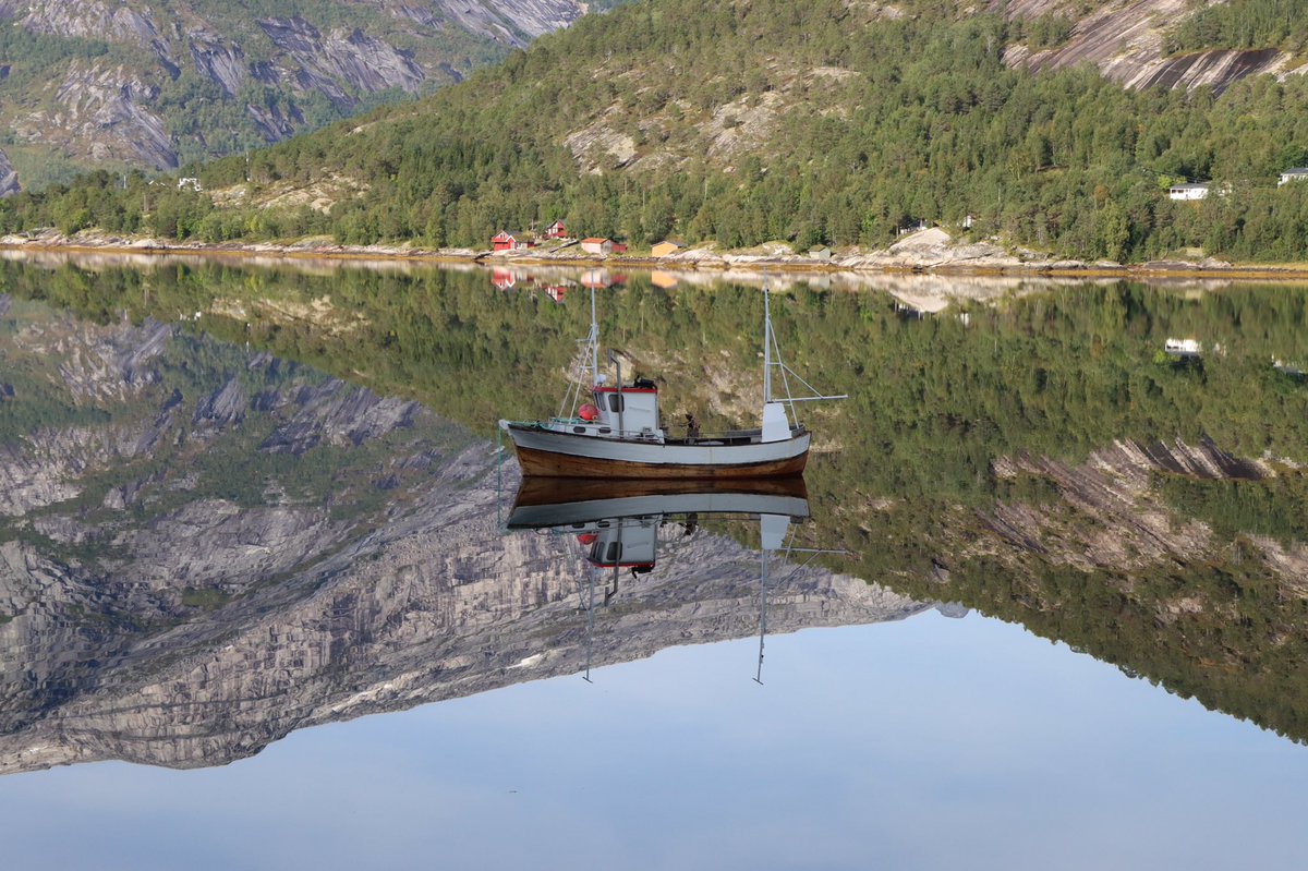 Tim Brinkman tweet media