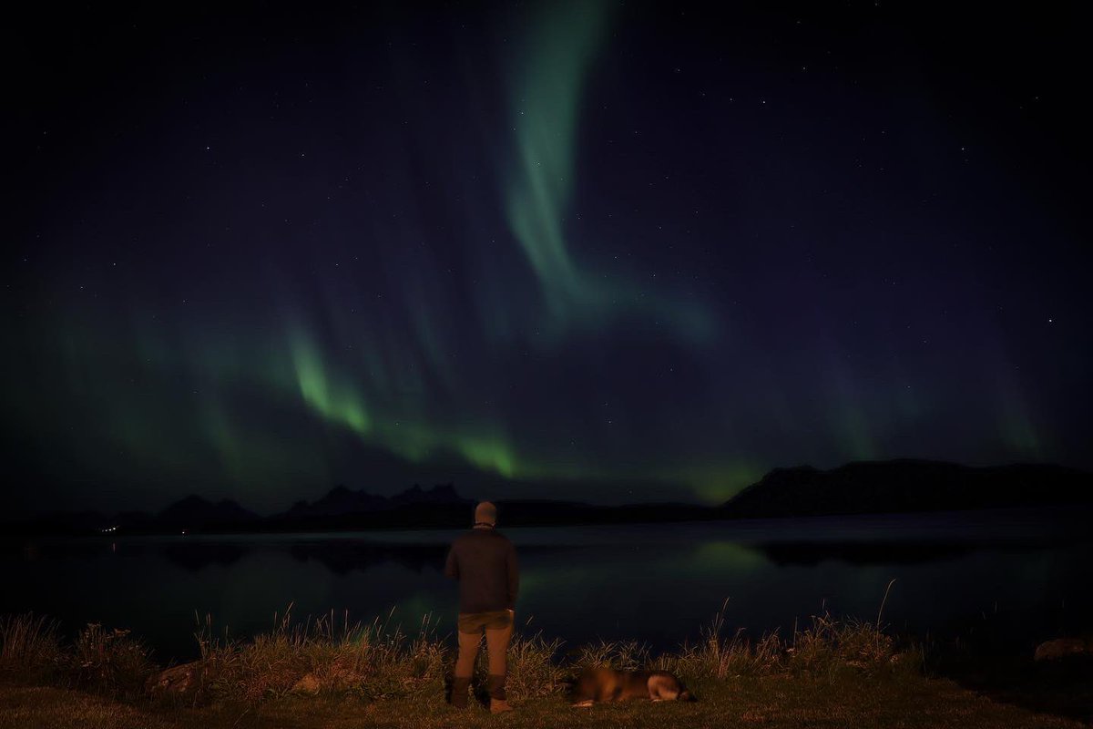 Tim Brinkman tweet media