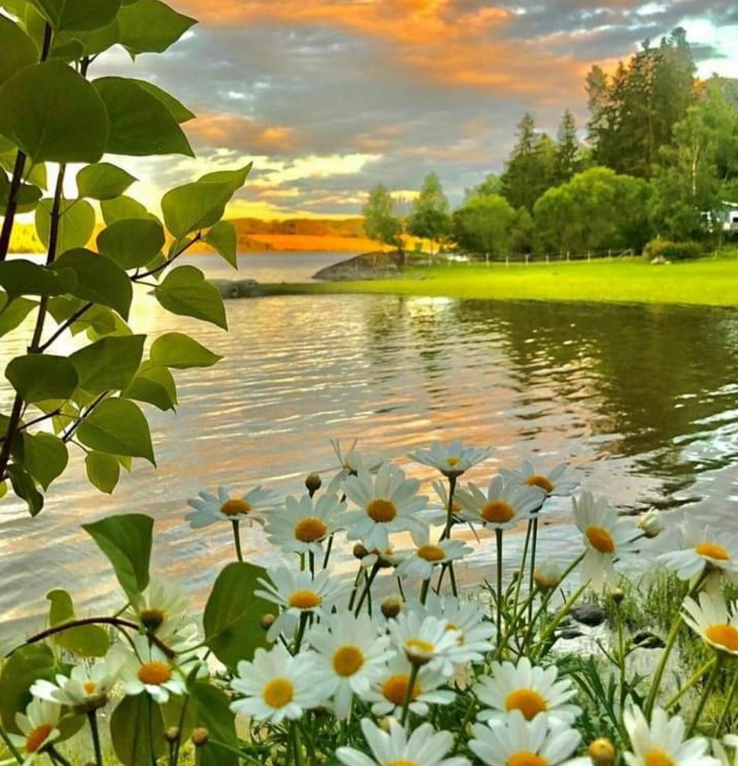 SengulCinbas's tweet photo. İnsan, insana çözüm olmalı, 
Düğüm değil.
İnsan, insana ilâç olmalı, 
Dert değil. 
İnsan, insana yoldaş olmalı, 
Yük değil. 
İnsan, insanın yurdu olmalı, 
Kurdu değil...
#GünAkşamda 
#MutluAkşamlar https://t.co/A2Ka9EoYTj