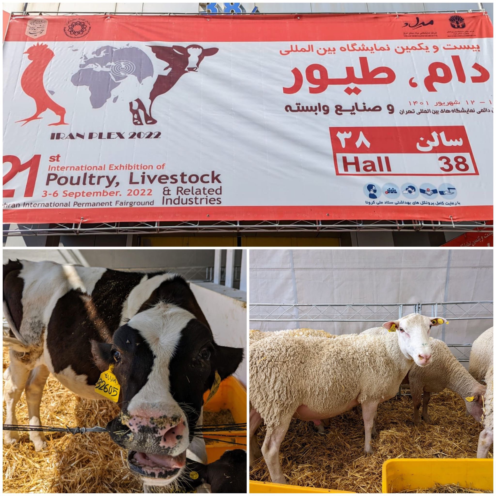 UK in Iran 🇬🇧🇮🇷 on Twitter "We visited IRANPLEX in Tehran today