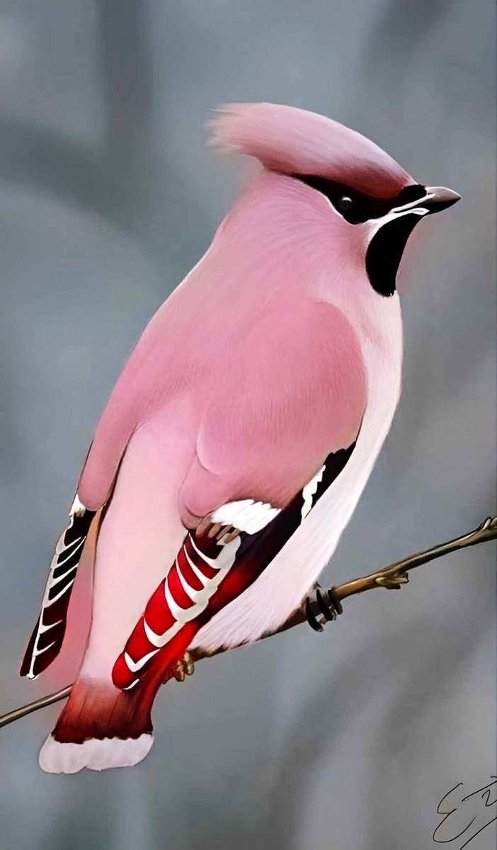 Elena 🌏💖🤍🕊🙏🏻 (@elenagrin6) on Twitter photo 