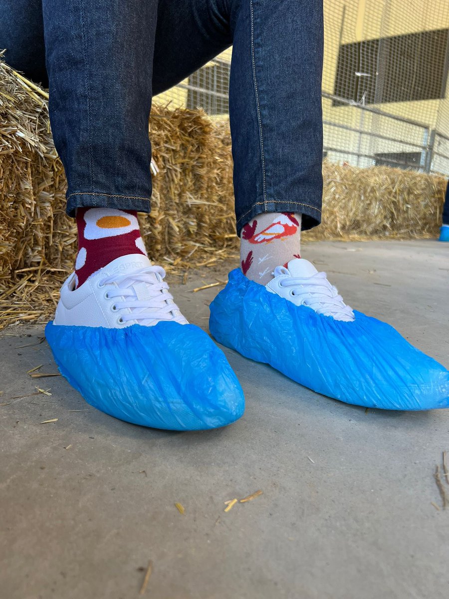 Valentin Emery tweet media