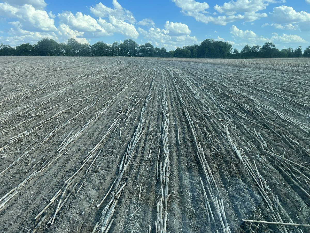 Stéphane Olivier 🇫🇷 tweet media