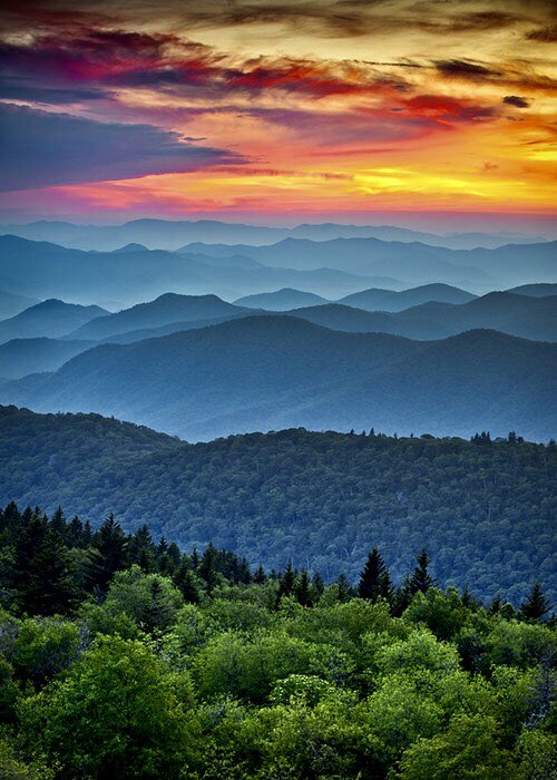 Let’s go somewhere...

#Virginia - The Old Dominion State is a beautiful vacation destination filled with rich history, many well-preserved historical sites, sandy beaches and the Blue Ridge Mountains where you can spot an array of species of birds and land animals.

#travelUSA🇺🇸