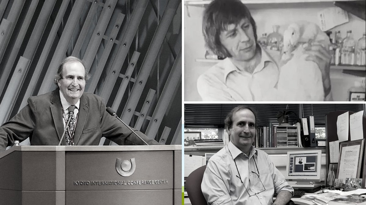 MedGenWales's tweet photo. Today at a special symposium coordinated by @WalesGenePark we are honoured to pay tribute to Professor Peter Harper; world renowned for his transcendent contribution in human #Genetics and much loved by his colleagues, patients and peers throughout his remarkable career. https://t.co/XGkhfdn3V0