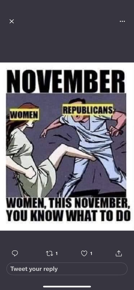 KeroNTTz's tweet photo. #VoteBlueNov2022 https://t.co/4wSovY2mkv