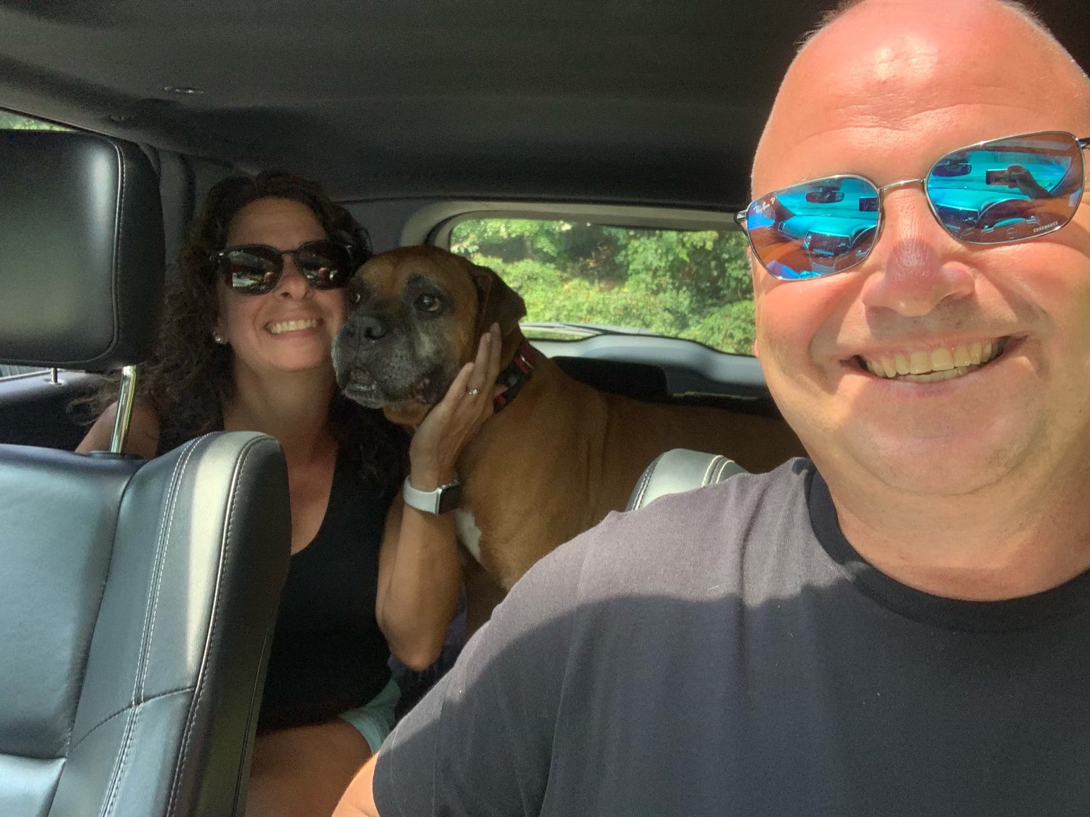 adopt-a-boxer-on-twitter-we-ve-been-busy-we-had-4-adoptions-this