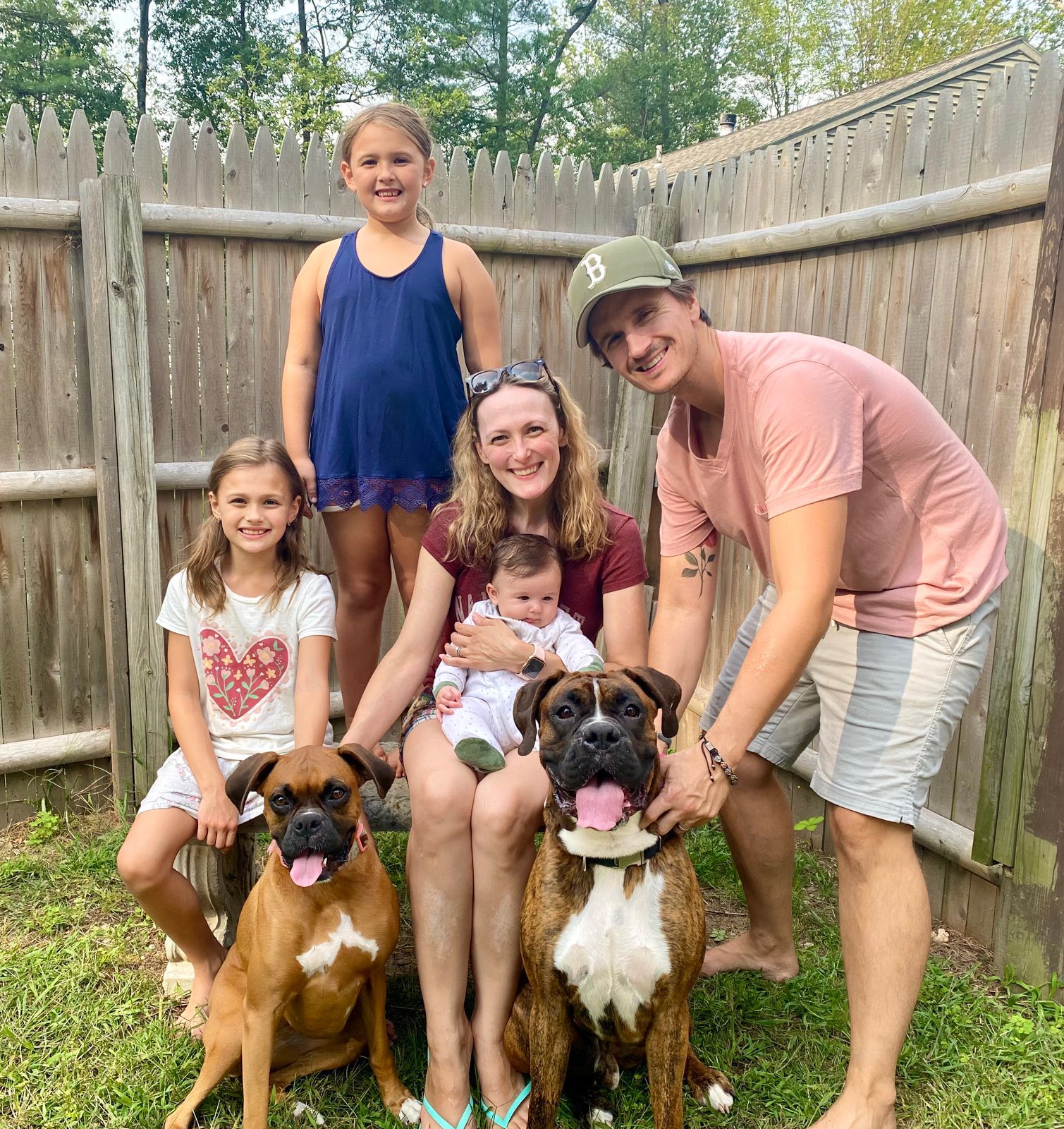 Adopt A Boxer On Twitter We ve Been Busy We Had 4 Adoptions This adopt-a-boxer-on-twitter-we-ve-been-busy-we-had-4-adoptions-this