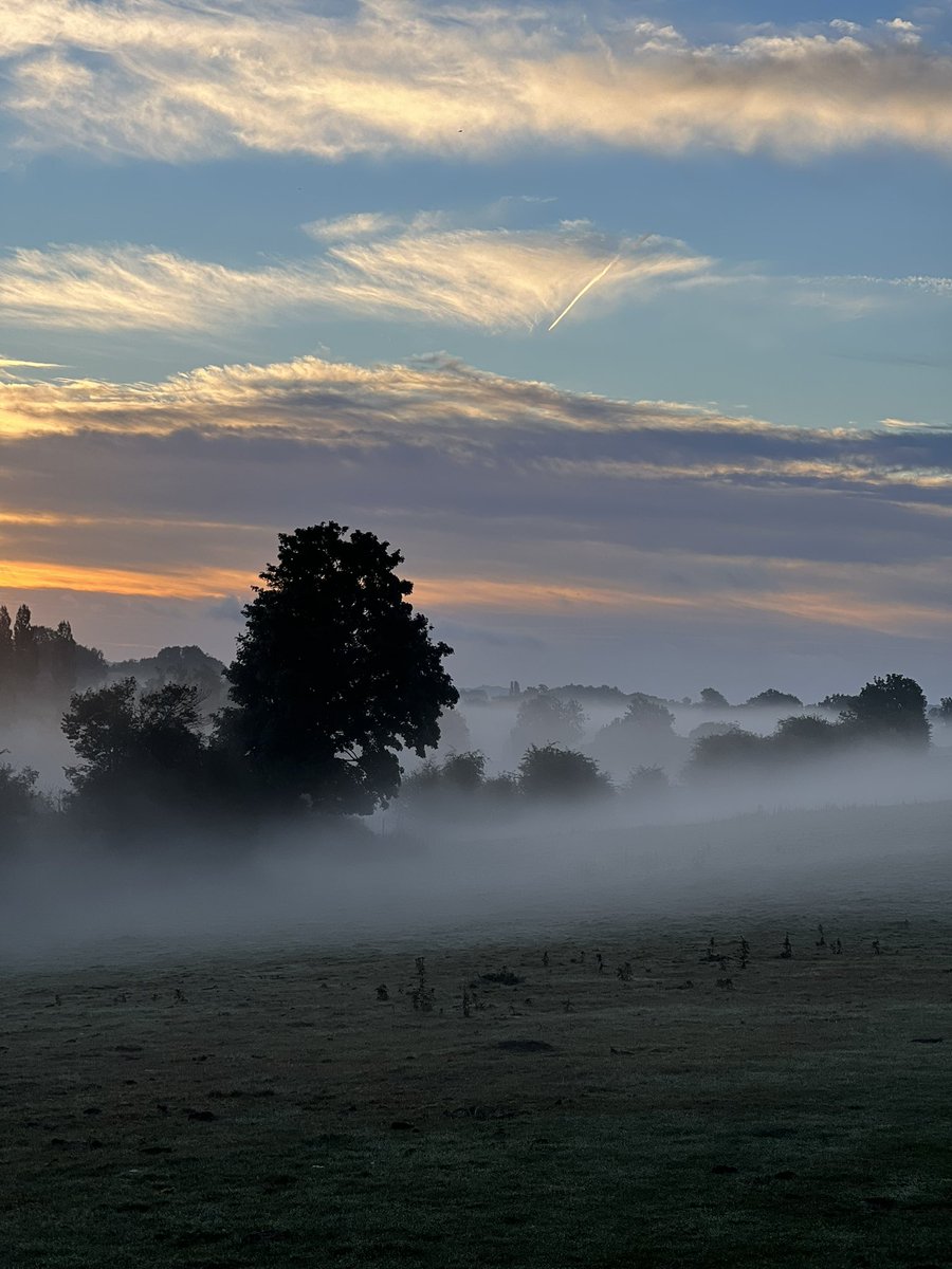 JonnyTheFizz's tweet photo. Misty Monday https://t.co/yiKvZmQAfp