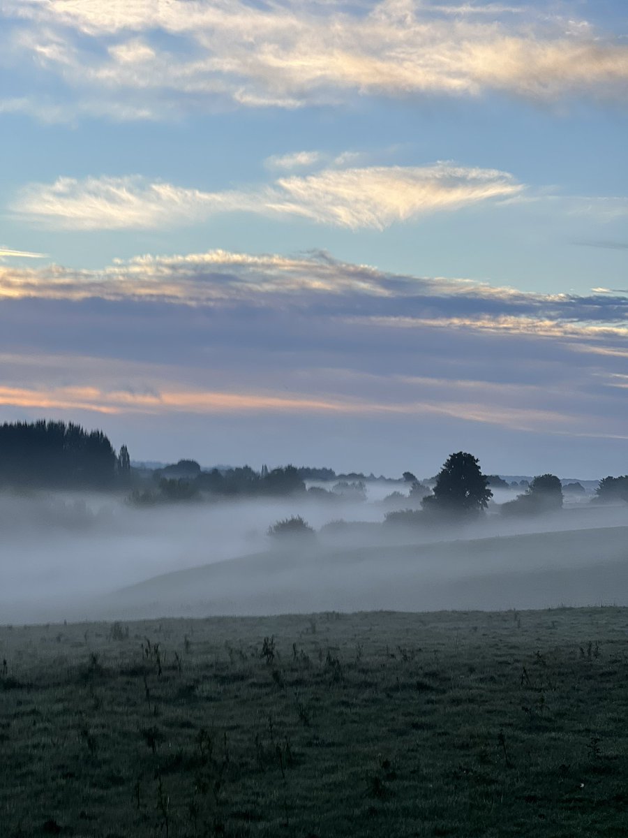 JonnyTheFizz's tweet photo. Misty Monday https://t.co/yiKvZmQAfp