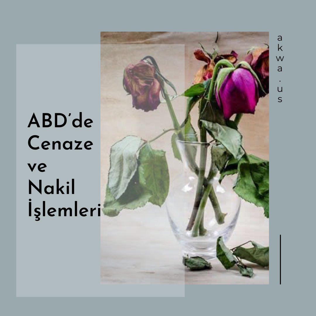 ABD’de Cenaze ve Nakil İşlemleri 🥀

akwa.us/abdde-cenaze-v…

#amerikadacenaze
