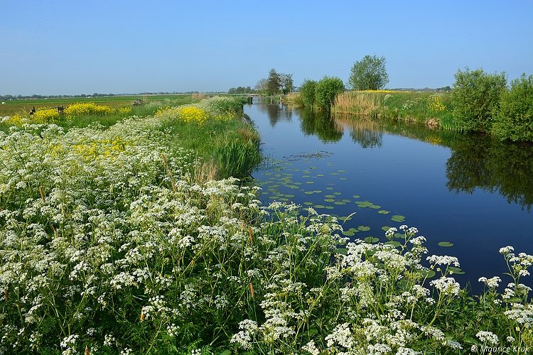 Direct naast #Gouda ligt de #KRIMPENERWAARD
Van elkaar gescheiden door de Hollandse IJssel.
Dertien dorpen en stadjes in een groene oase omringd door water. Hier is heel veel te zien, te doen en te proeven.
indekrimpenerwaard.nl/overdebrug