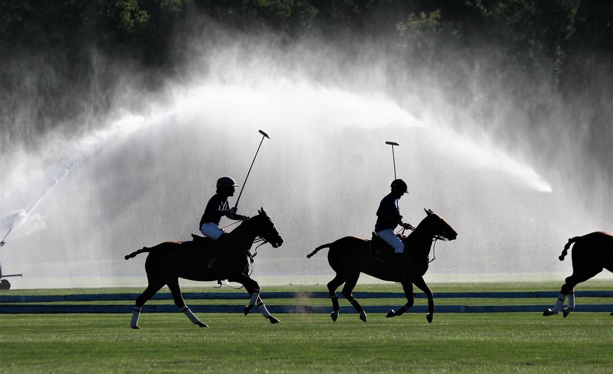 Beautiful photo by Debbie Napp 

Repost: My Favorite Photo that I took last night 9-1-22 at the Meadow Brook Polo Club! The Water Cannon was going on in the next field, which makes for a great background! Just having fun with my
