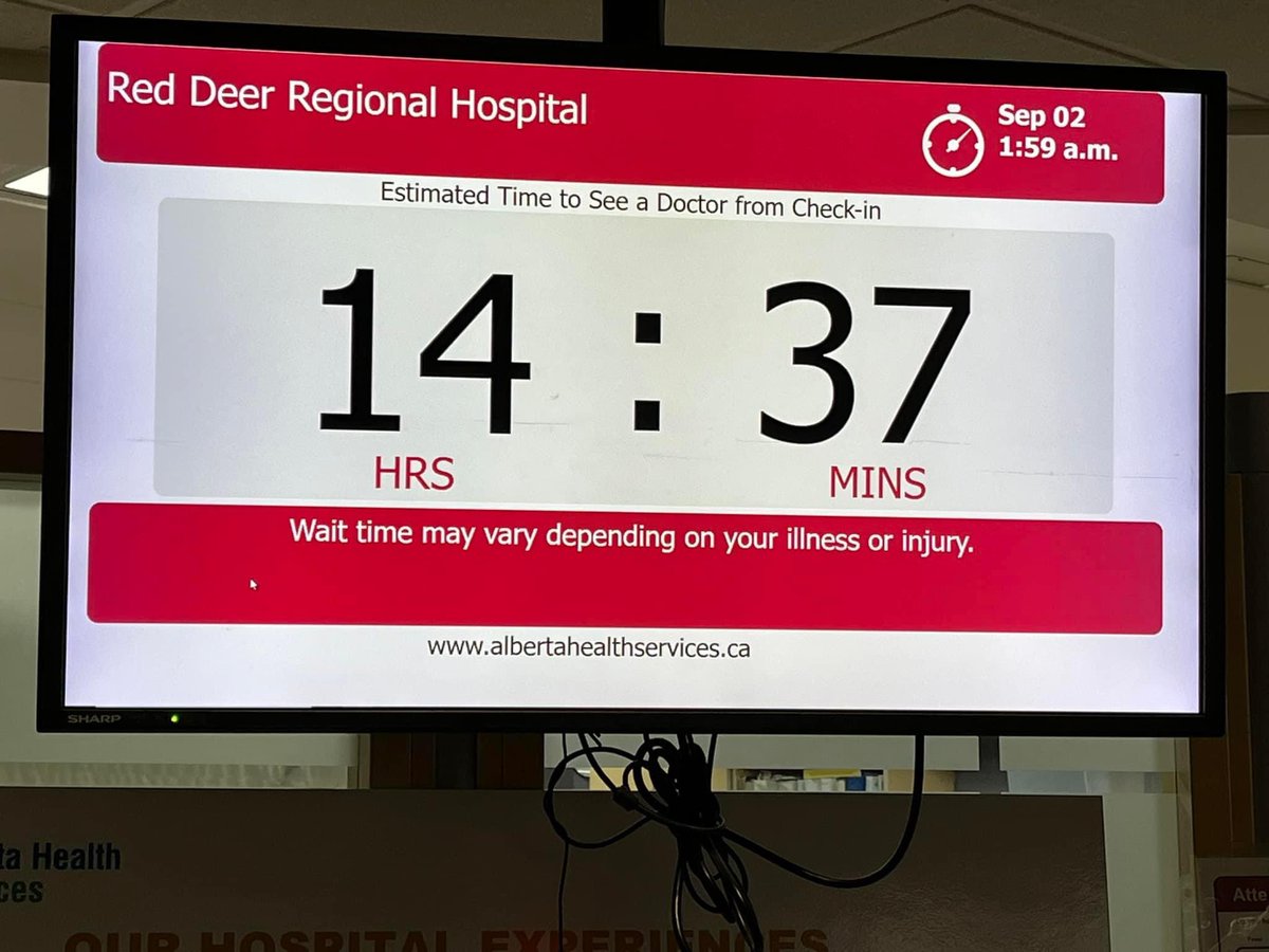 Lindsay Unland tweet media