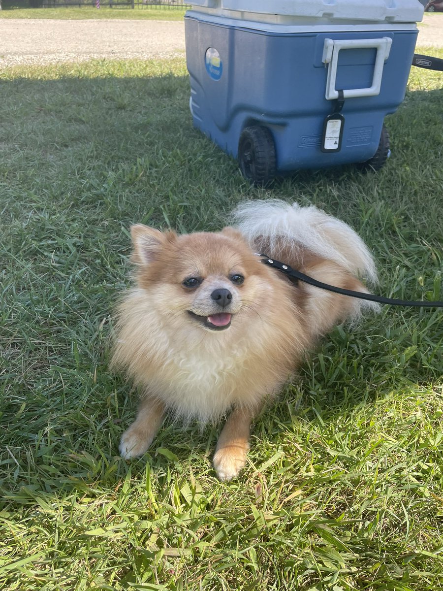 Happy Labor Day from Peekaboo ❣️