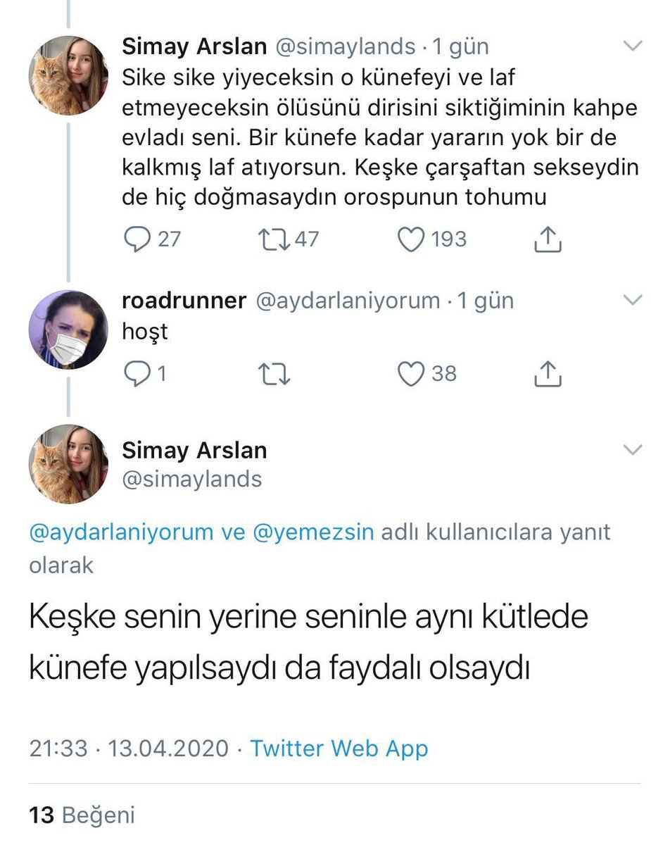 Bu sitede künefe sevmediğim için başıma gelen olay