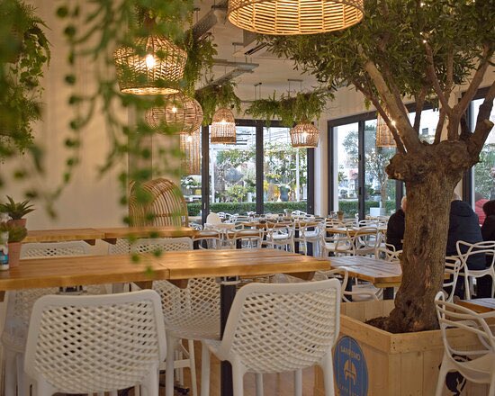 InspWhole's tweet photo. Our gorgeous coffee shop Leaf &amp; Vine turned one year old today! Thank you to all of our lovely customers for their support over the past 12 months! Not had a chance to visit yet? We would love to see you soon! https://t.co/1OMOPS67b5