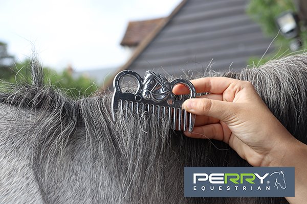 Perry Equestrian tweet media