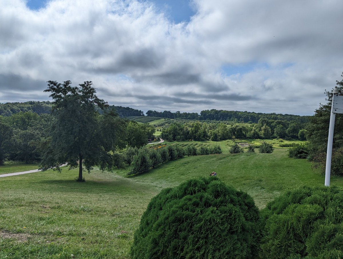 Kombiz Lavasany tweet media