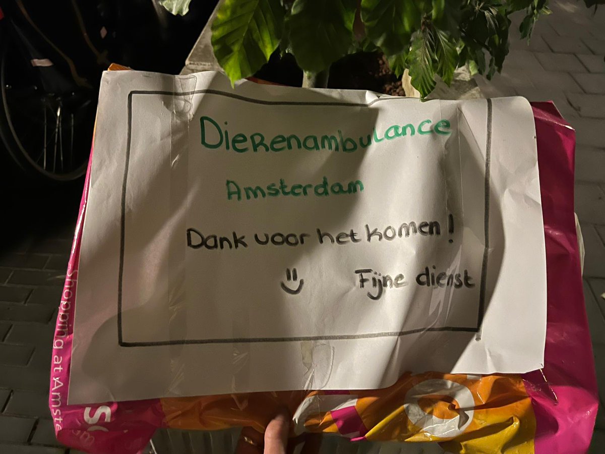 Dierenambulance Amsterdam tweet media