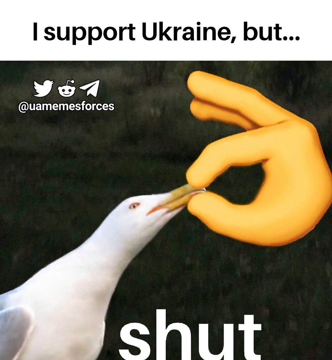 uamemesforces's tweet photo. https://t.co/ZJ8x2iL82E