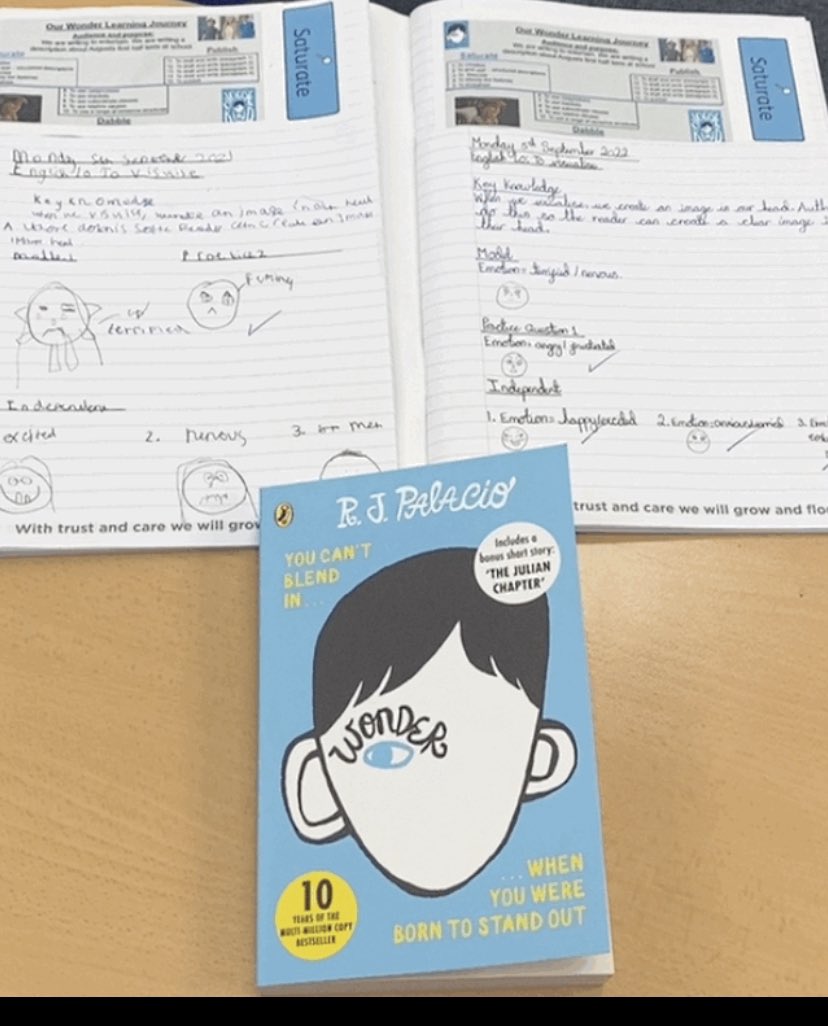 MissTalbot1993's tweet photo. Year 6 are very excited to start their new book Wonder. Today we have looked at emotions and started our first writing cycle @peartreejunior https://t.co/BuCwF0JRJN