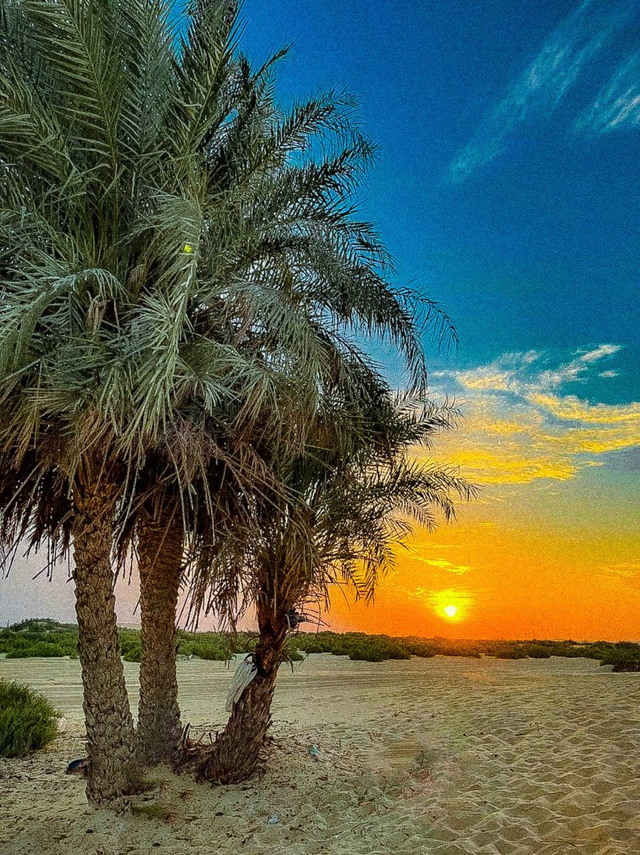 Veranda (@iclassyy_) on Twitter photo 