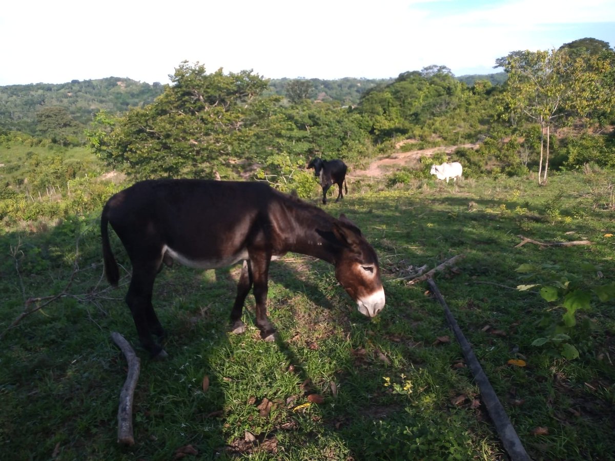 Alejandro Humor Tv (@alejandro_humor) on Twitter photo 