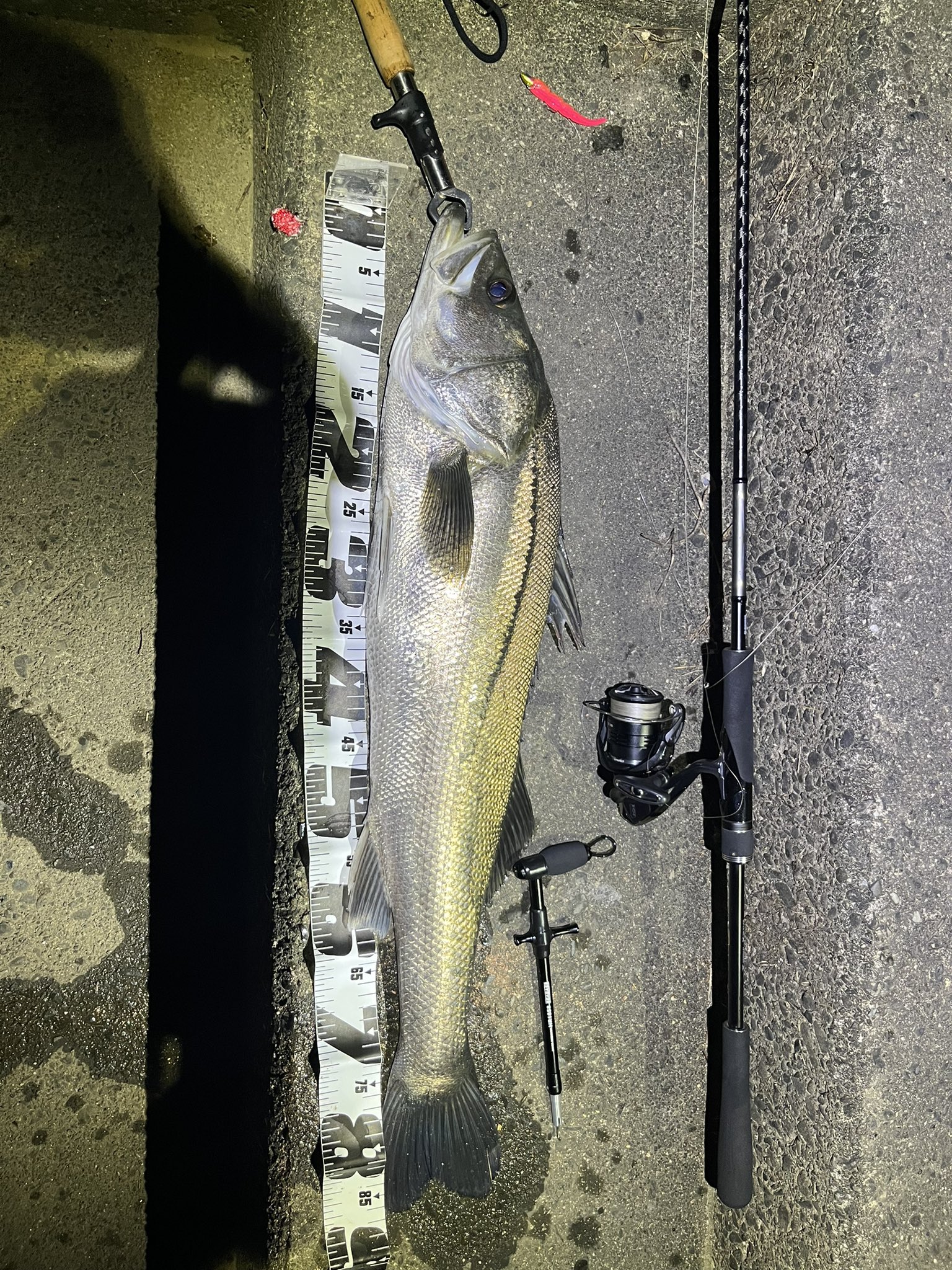 Terup Terup 3 Twitter