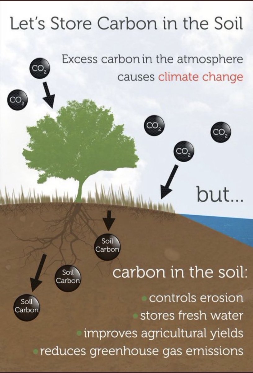 aamurry's tweet image. #savesoil #generationrestoration #noplanetb #ClimateAction @cpsavesoil @SadhguruJV @ishafoundation