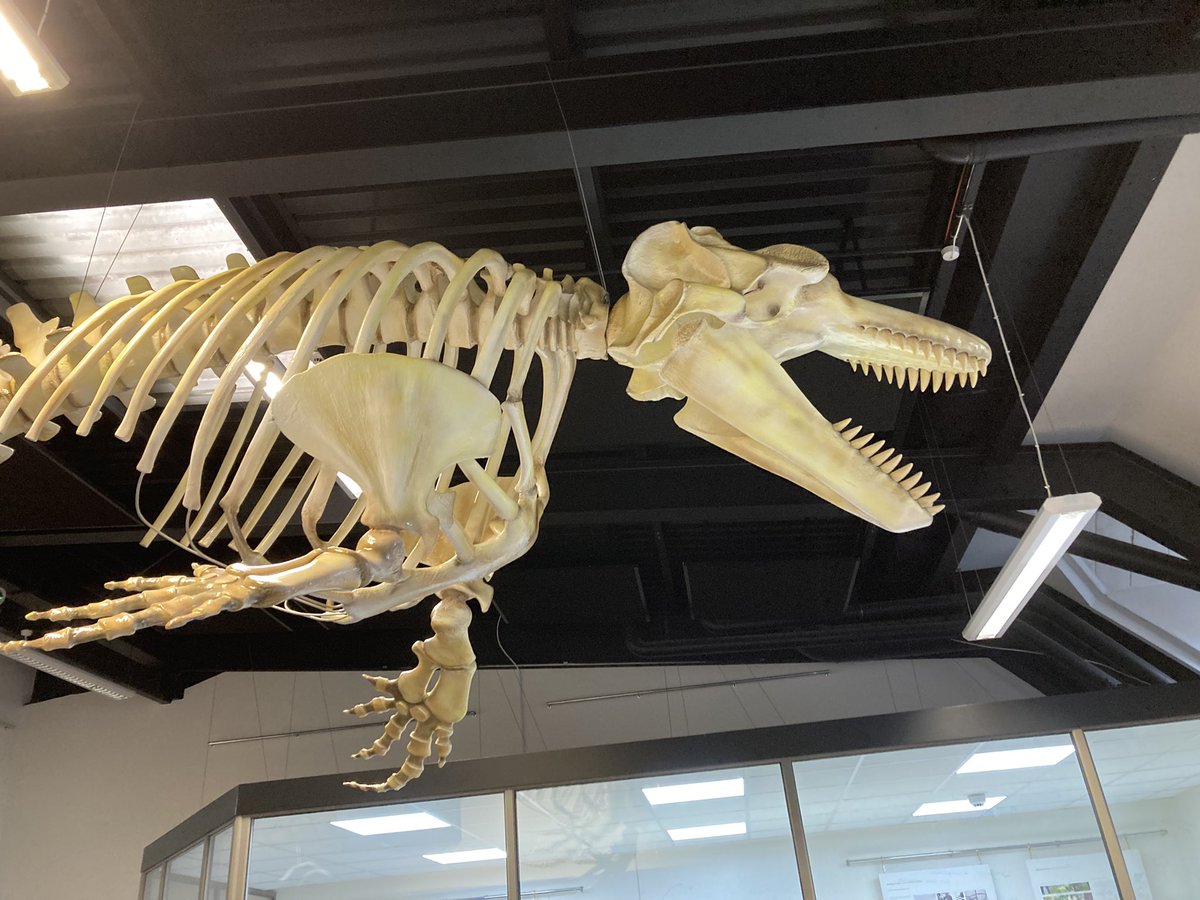 Wellington STE tweet media