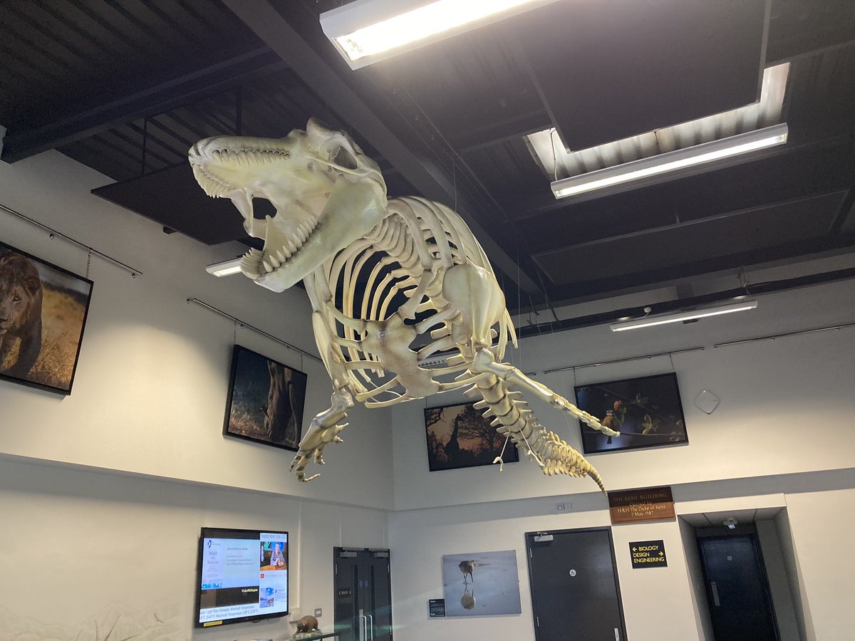 Wellington STE tweet media