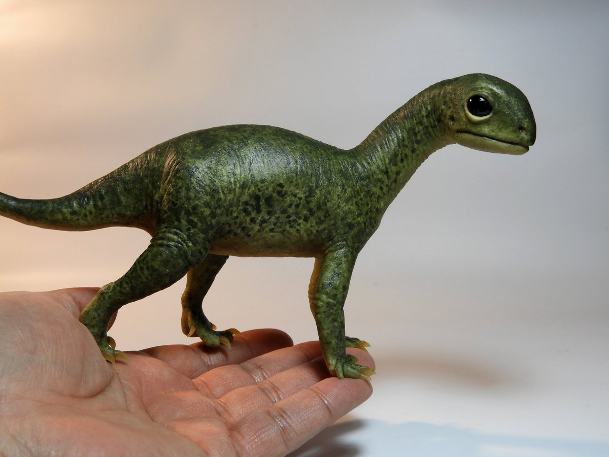dinoesculturas's tweet photo. Full size #Mussaurus baby, made of flexible cold porcelain (air dry polymeric clay?) as a commission for a young kid on his birthday. https://t.co/h9xeoPHKvj