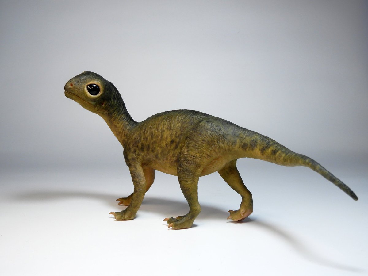 dinoesculturas's tweet photo. I was asked to make a replica of a previous baby #Mussaurus I've made a few years ago. I only made a small variation in the colors, being more green than the original one. https://t.co/HaUjQMrZFm