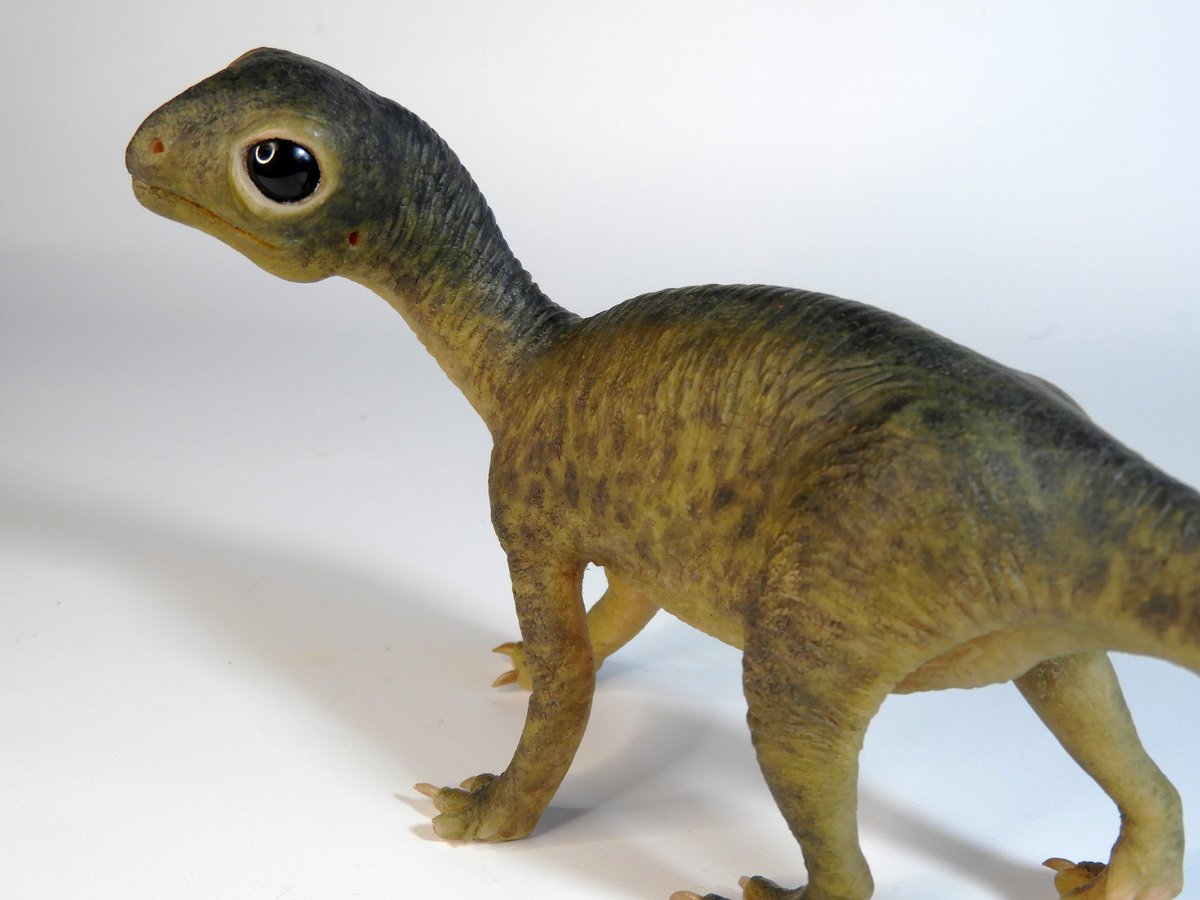 dinoesculturas's tweet photo. I was asked to make a replica of a previous baby #Mussaurus I've made a few years ago. I only made a small variation in the colors, being more green than the original one. https://t.co/HaUjQMrZFm