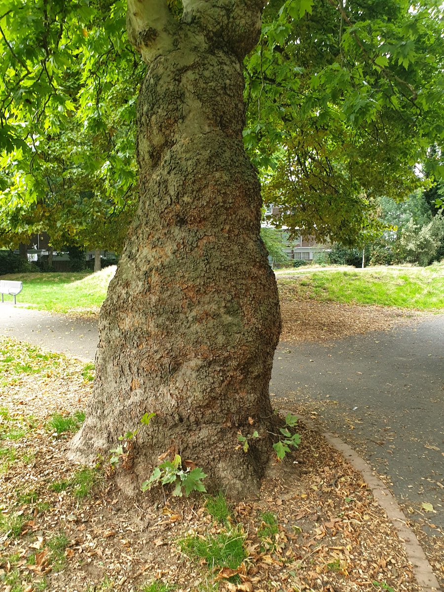 Look what I found in #Belfast <a href="/TiCLme/">TiCL (NO to a blue tick)</a> <a href="/GregPackman/">Greg Packman</a> <a href="/saladempire/">Sadie Freeman</a>