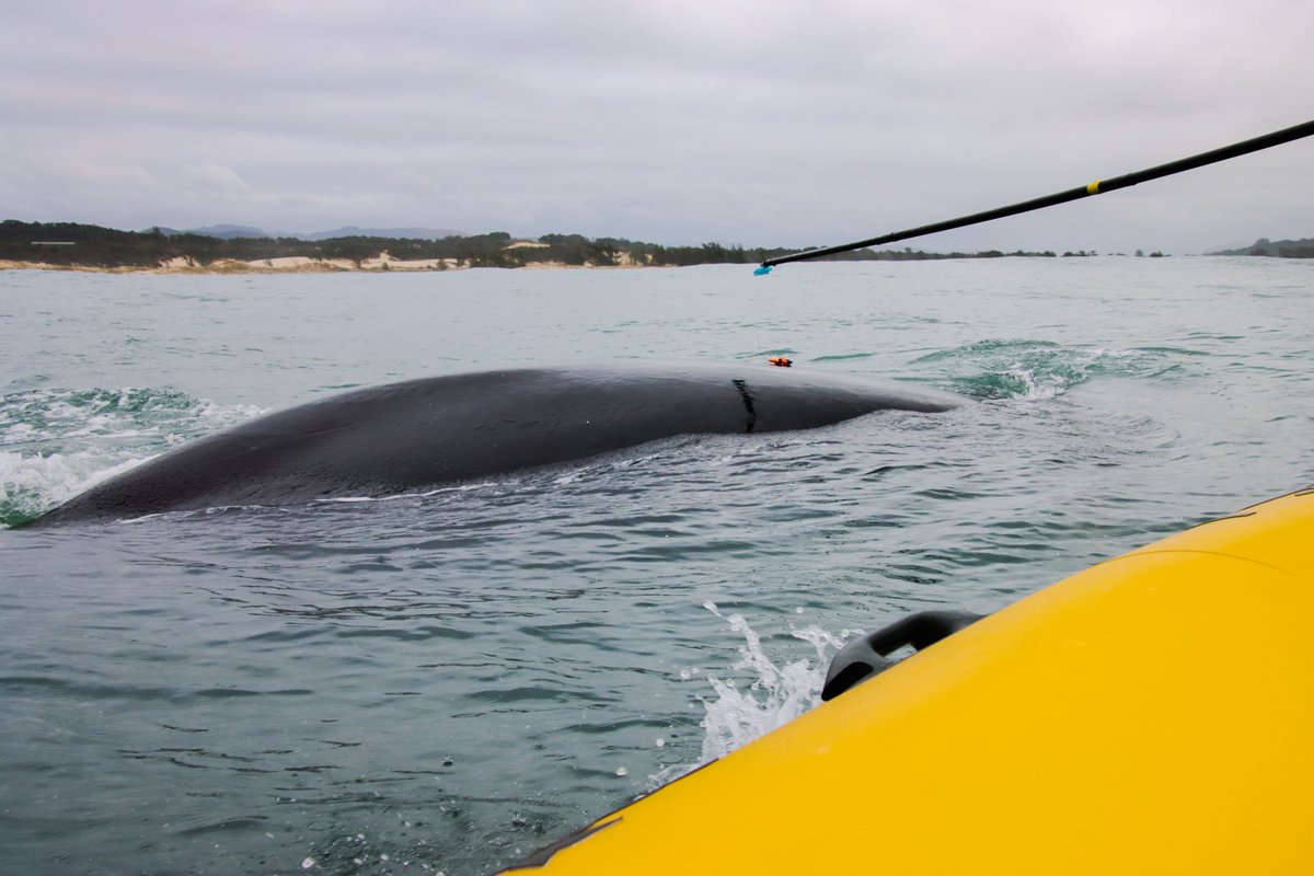 Julia Dombroski, PhD tweet media