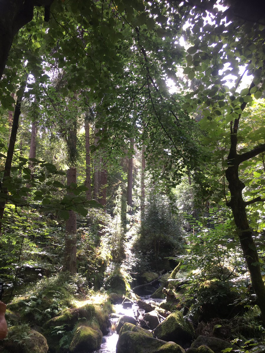 My office today <a href="/SHSCFT/">Sheffield Health Partnership University NHS FT</a> #Eastglade First time exploring here with service users and feedback really positive #ahpsactive <a href="/RCOT_MH/">RCOT Mental Health</a> . Everyone wants to return :-)