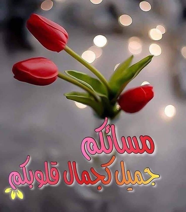 tmrbs2's tweet photo. @FayzhKmal https://t.co/KHIpZxaAmL
