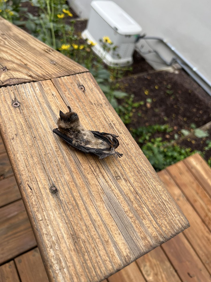 Roll’n outta Labor Day like….