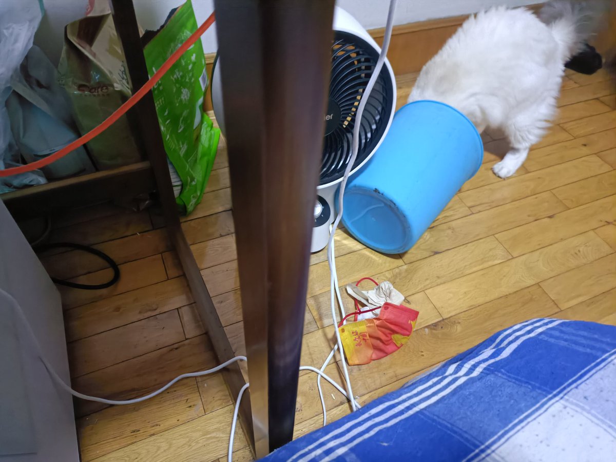 #剑三 #剑网三 #剑网3 #剑3 你可牛了，开始钻垃圾桶了