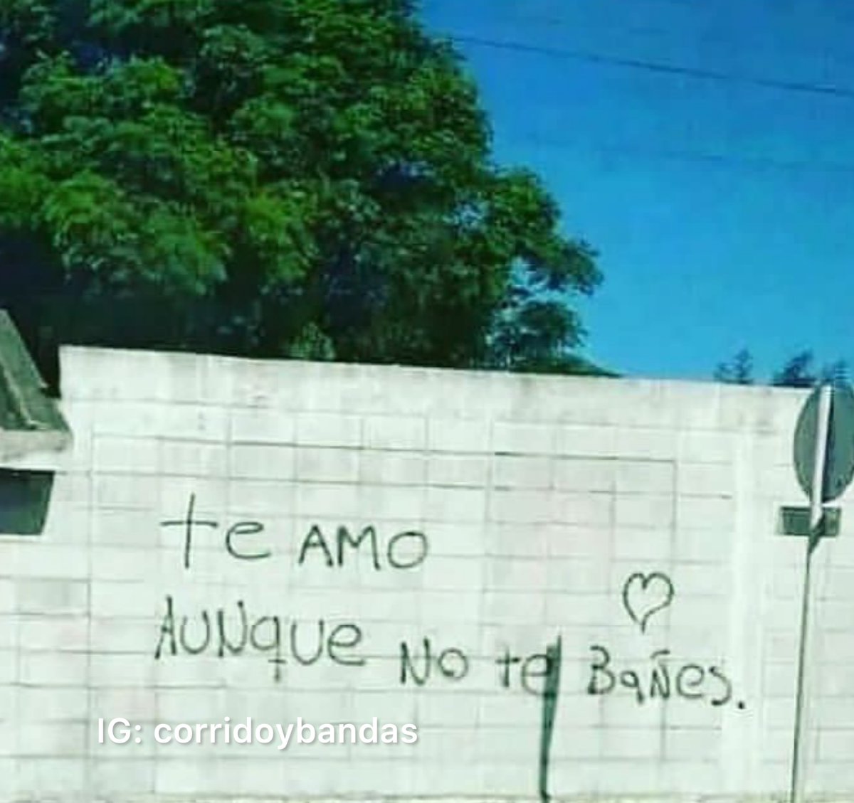 Así te amo y no me valoras.