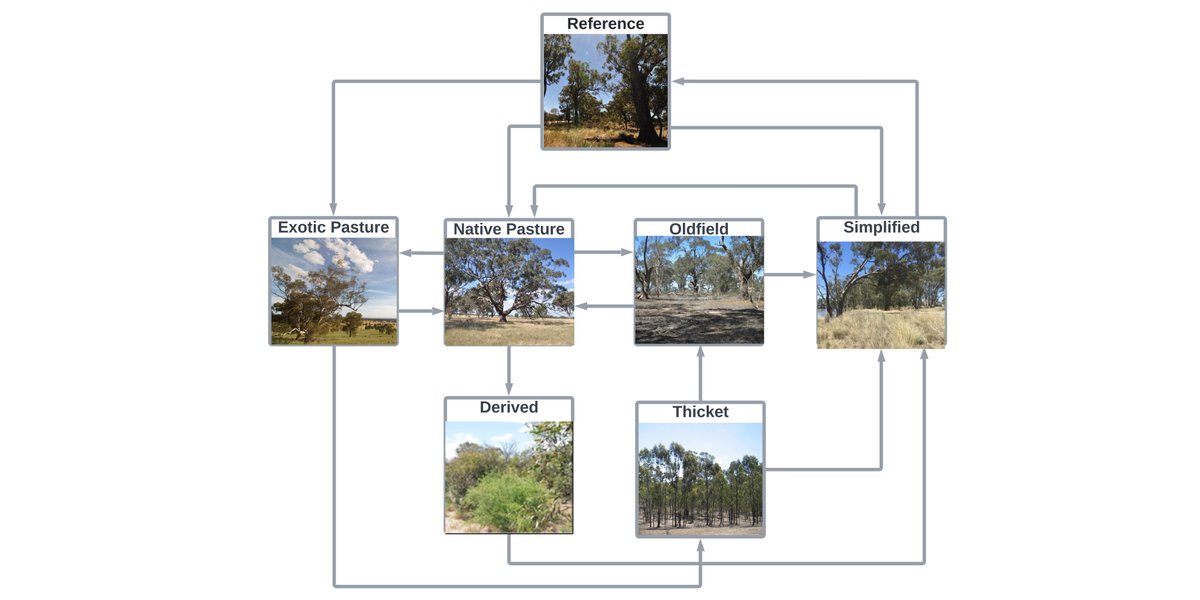 ESAApplications's tweet photo. New and #OpenAccess in @ESAApplications:

What state of the world are we in? Targeted monitoring to detect transitions in vegetation restoration projects

https://t.co/ybbjdAZb2h

@chsjones @freyamthomas @DrDMichael @HannahSFraser @Elliot_Gould_ @pveski @LibbyRumpff https://t.co/qevPOifAd7