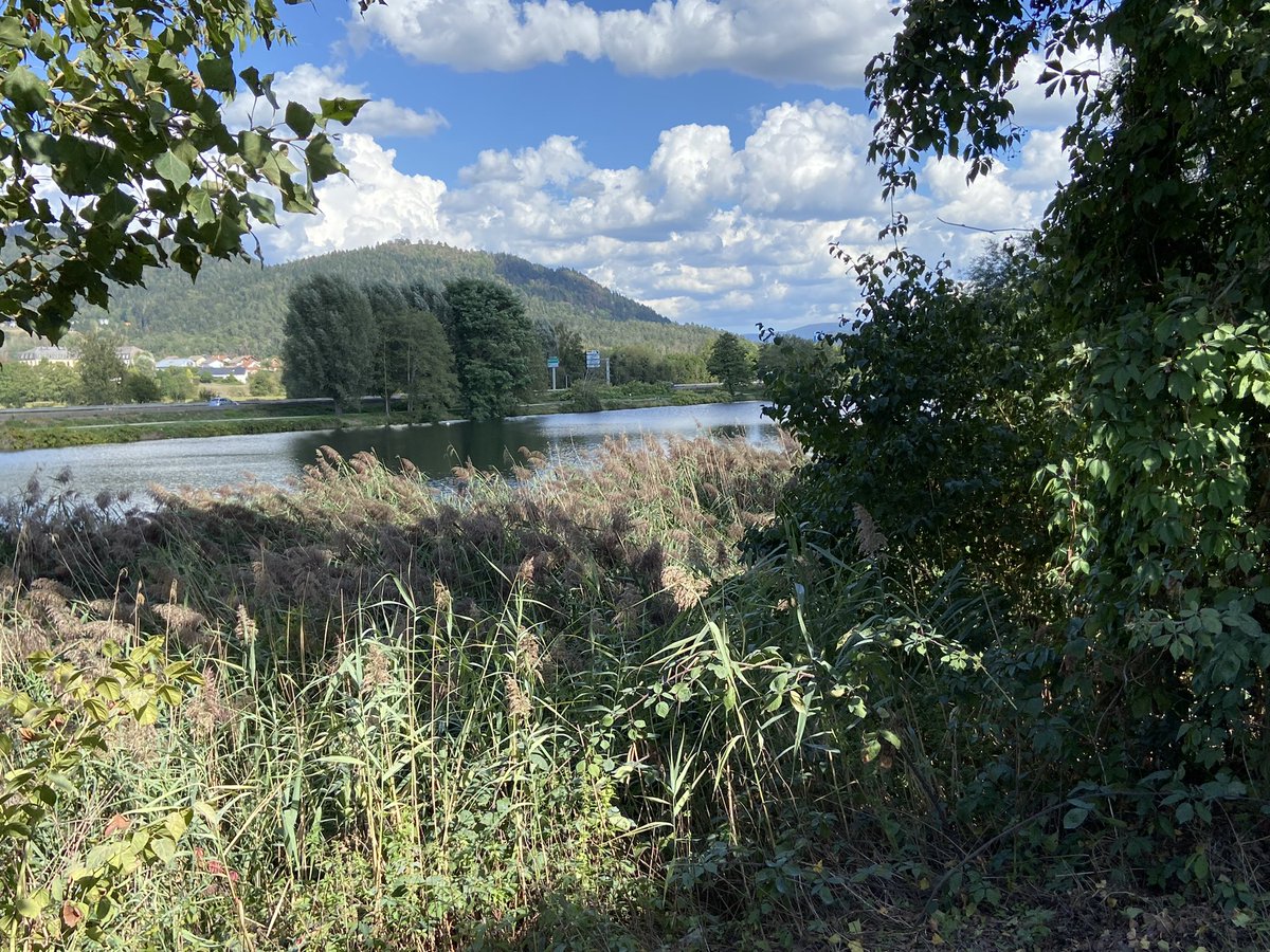 SCREAM1003's tweet photo. #Twitter #Vosges #France #lac #balade https://t.co/6crK5kOkL4